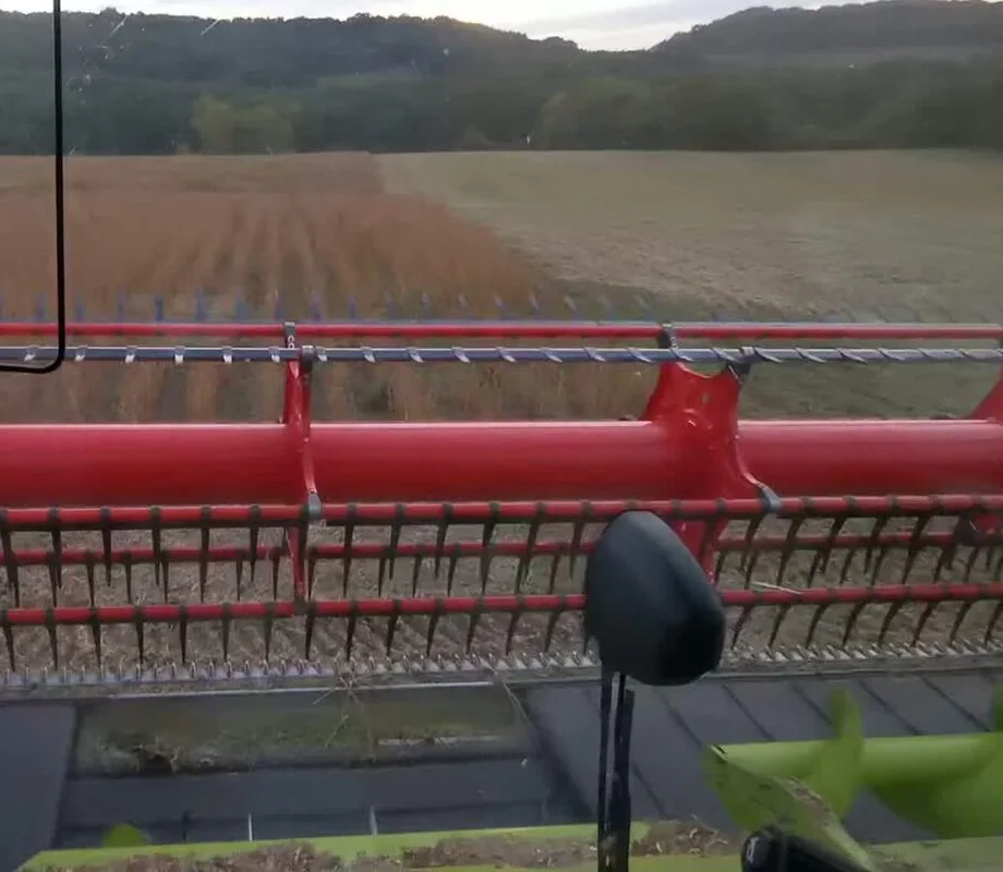 Soybean harvest seen from the combine.